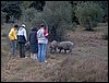 Descubierta en Ronda - 5 febrero 2005