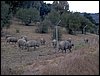 Descubierta en Ronda - 5 febrero 2005