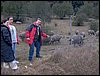 Descubierta en Ronda - 5 febrero 2005