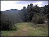 Descubierta en Ronda - 5 febrero 2005