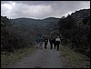 Descubierta en Ronda - 5 febrero 2005