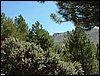 Subida al Refugio de la Cucaracha - 25 y 26 de junio de 2005