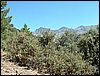 Subida al Refugio de la Cucaracha - 25 y 26 de junio de 2005
