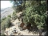 Subida al Refugio de la Cucaracha - 25 y 26 de junio de 2005