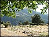 Subida al Refugio de la Cucaracha - 25 y 26 de junio de 2005
