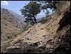Subida al Refugio de la Cucaracha - 25 y 26 de junio de 2005