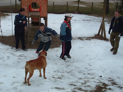 Excursi�n Tropa y Escultas al Majadijar - 14 de enero de 2006 - Foto 6