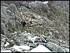Excursi�n Tropa y Escultas al Majadijar - 14 de enero de 2006