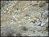 Excursi�n Tropa y Escultas al Majadijar - 14 de enero de 2006