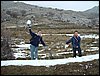 Excursi�n Tropa y Escultas al Majadijar - 14 de enero de 2006