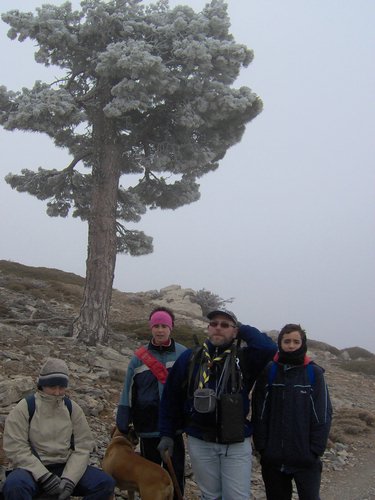 Tropa y Unidad en el Pozo de la Nieve - Sierra de Baza - 18 febrero 2006 - Foto 61