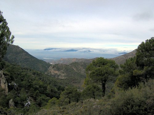 Excursi�n al Cerro del Corzo en la Sierra de Hu�tor - 4 de marzo de 2006 - Foto 12