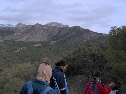 Excursi�n al Cerro del Corzo en la Sierra de Hu�tor - 4 de marzo de 2006 - Foto 39