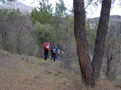Excursi�n al Cerro del Corzo en la Sierra de Hu�tor - 4 de marzo de 2006 - Foto 41