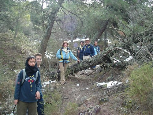 Excursi�n al Cerro del Corzo en la Sierra de Hu�tor - 4 de marzo de 2006 - Foto 42
