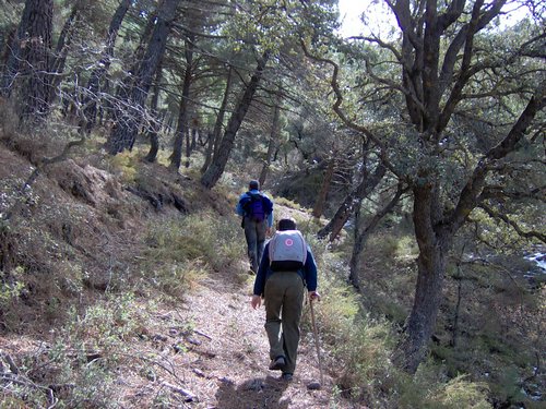 Excursi�n al Cerro del Corzo en la Sierra de Hu�tor - 4 de marzo de 2006 - Foto 50