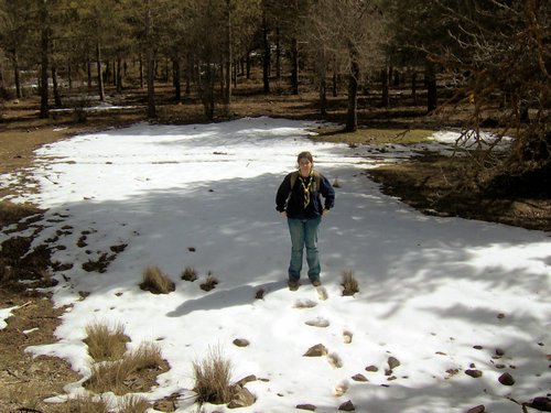 Excursi�n al Cerro del Corzo en la Sierra de Hu�tor - 4 de marzo de 2006 - Foto 59