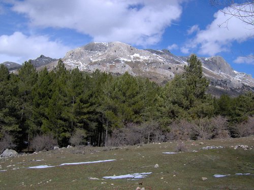 Excursi�n al Cerro del Corzo en la Sierra de Hu�tor - 4 de marzo de 2006 - Foto 64