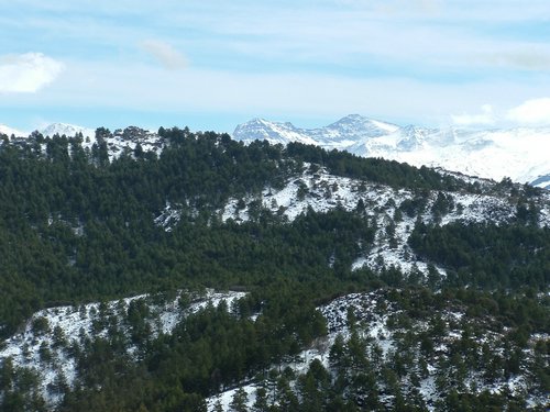 Excursi�n al Cerro del Corzo en la Sierra de Hu�tor - 4 de marzo de 2006 - Foto 94