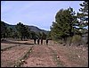 Excursi�n al Cerro del Corzo en la Sierra de Hu�tor - 4 de marzo de 2006