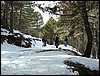 Excursi�n al Cerro del Corzo en la Sierra de Hu�tor - 4 de marzo de 2006