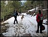 Excursi�n al Cerro del Corzo en la Sierra de Hu�tor - 4 de marzo de 2006