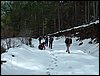 Excursi�n al Cerro del Corzo en la Sierra de Hu�tor - 4 de marzo de 2006