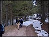 Excursi�n al Cerro del Corzo en la Sierra de Hu�tor - 4 de marzo de 2006