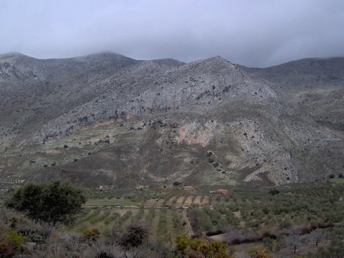 Excursi�n al Pe��n de la Mata el 19 de marzo de 2006
Foto 8