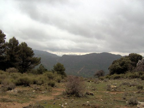 Excursi�n al Pe��n de la Mata el 19 de marzo de 2006
Foto 16
