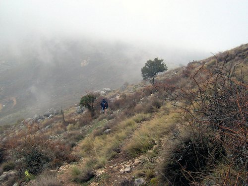 Excursi�n al Pe��n de la Mata el 19 de marzo de 2006
Foto 26