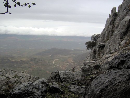 Excursi�n al Pe��n de la Mata el 19 de marzo de 2006
Foto 51