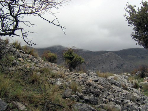 Excursi�n al Pe��n de la Mata el 19 de marzo de 2006
Foto 60