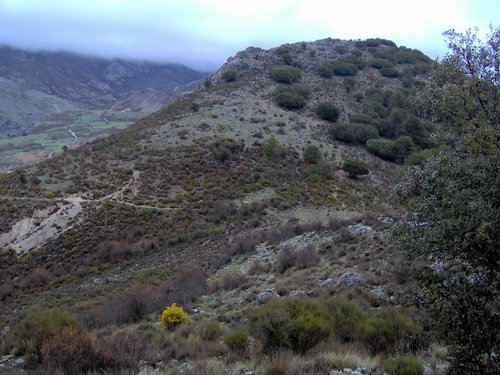 Excursi�n al Pe��n de la Mata el 19 de marzo de 2006
Foto 61