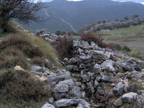 Excursi�n al Pe��n de la Mata el 19 de marzo de 2006
Foto 63