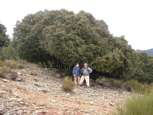 Excursi�n al Pe��n de la Mata el 19 de marzo de 2006
Foto 69