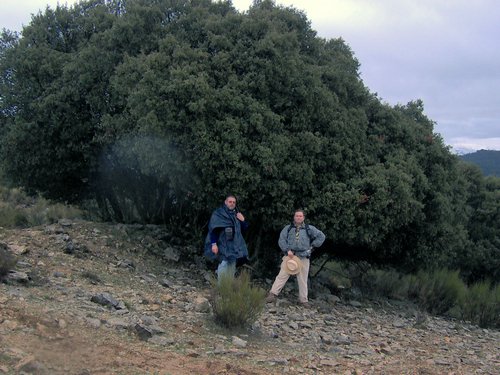 Excursi�n al Pe��n de la Mata el 19 de marzo de 2006
Foto 70