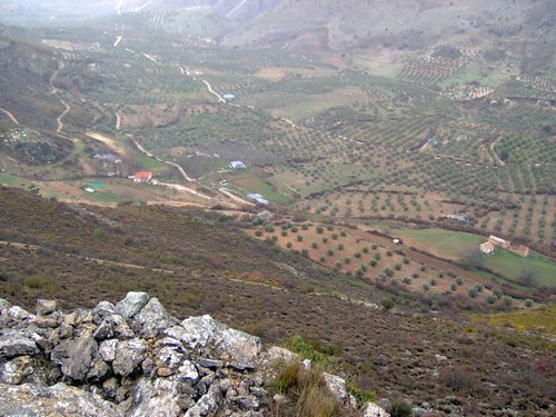 Excursi�n al Pe��n de la Mata el 19 de marzo de 2006
Foto 76