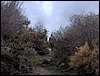 Excursi�n al Pe��n de la Mata el 19 de marzo de 2006