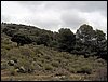 Excursi�n al Pe��n de la Mata el 19 de marzo de 2006