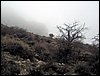 Excursi�n al Pe��n de la Mata el 19 de marzo de 2006