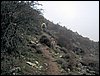 Excursi�n al Pe��n de la Mata el 19 de marzo de 2006