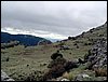 Excursi�n al Pe��n de la Mata el 19 de marzo de 2006