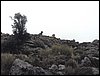 Excursi�n al Pe��n de la Mata el 19 de marzo de 2006