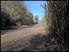 Acampada en BENAB�HA. (Benal�a)
18 y 19 de noviembre de 2006