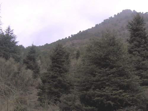 Excursi�n a la Sierra de V�znar - 17 de febrero de 2007 - Foto 4