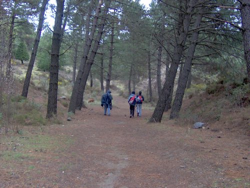 Excursi�n a la Sierra de V�znar - 17 de febrero de 2007 - Foto 10