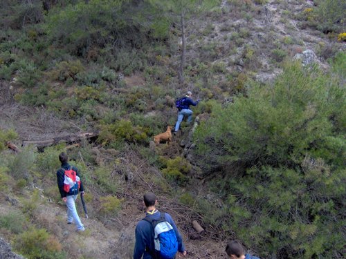 Excursi�n a la Sierra de V�znar - 17 de febrero de 2007 - Foto 42