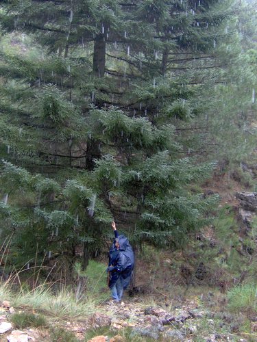 Excursi�n a la Sierra de V�znar - 17 de febrero de 2007 - Foto 46