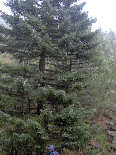 Excursi�n a la Sierra de V�znar - 17 de febrero de 2007 - Foto 47